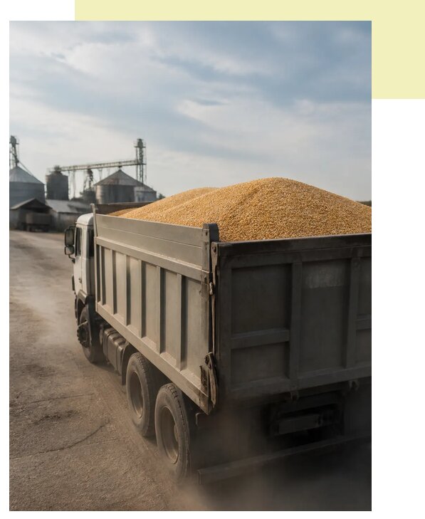 Перевозка сельхозпродукции навалом в Конаково по цене от 3041 р. | Агросервис-Кнк
